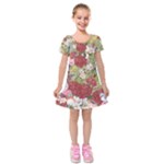 Ladybug Dreams  Kids  Short Sleeve Velvet Dress