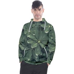 Leaves Closeup Background Photo1 Men s Pullover Hoodie by dflcprintsclothing