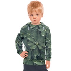 Leaves Closeup Background Photo1 Kids  Hooded Pullover by dflcprintsclothing