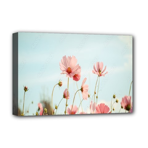 Cosmos Flower Blossom In Garden Deluxe Canvas 18  X 12  (stretched) by artworkshop