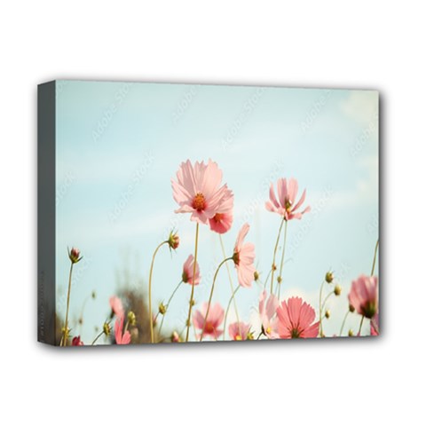 Cosmos Flower Blossom In Garden Deluxe Canvas 16  X 12  (stretched)  by artworkshop