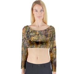Rusty Orange Abstract Surface Long Sleeve Crop Top by dflcprintsclothing