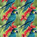 Macaw Tropical Birds View1