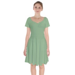 Dark Sea Green	 - 	short Sleeve Bardot Dress