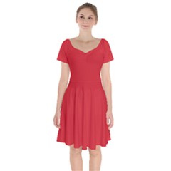 Amaranth Red	 - 	short Sleeve Bardot Dress
