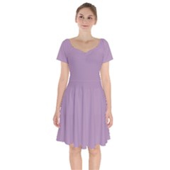 Lavender Herb Purple	 - 	short Sleeve Bardot Dress
