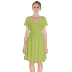 Avocado Green	 - 	short Sleeve Bardot Dress