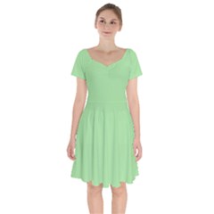 Granny Smith Apple Green	 - 	short Sleeve Bardot Dress