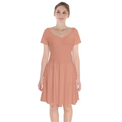 Soft Copper	 - 	short Sleeve Bardot Dress by ColorfulDresses
