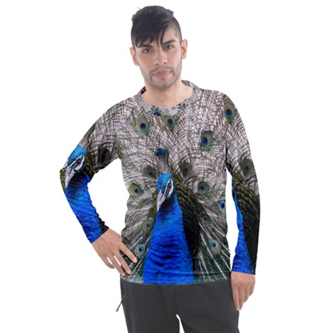 Peacock Bird Animal Feather Nature Colorful Men s Pique Long Sleeve Tee by Ravend