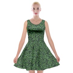 Leafy Elegance Botanical Pattern Velvet Skater Dress by dflcprintsclothing