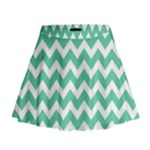 Chevron Pattern Giftt Mini Flare Skirt