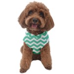 Chevron Pattern Giftt Dog Sweater