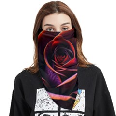 Purple Flower Rose Flower Black Background Face Covering Bandana (triangle) by Ravend