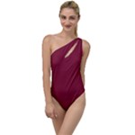 Rhubarb Red	 - 	To One Side Swimsuit