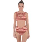 Pattern 275 Bandaged Up Bikini Set 