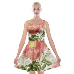 Flowers-102 Velvet Skater Dress
