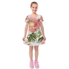 Flowers-102 Kids  Short Sleeve Velvet Dress