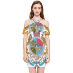 Imperial Coat Of Arms Of Iran, 1932-1979 Shoulder Frill Bodycon Summer Dress by abbeyz71