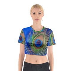 Blue Peacock Feather Cotton Crop Top by Amaryn4rt