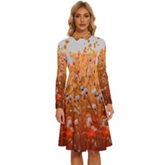 Late Afternoon Long Sleeve Shirt Collar A-line Dress by artworkshop