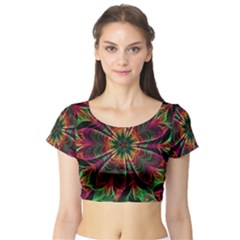 Multicolored Flower Mandala Wallpaper Kaleidoscope Pattern Short Sleeve Crop Top by 99art