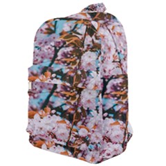 Nature Beautiful Rainbow Classic Backpack by artworkshop