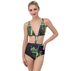 Drink Spinach Smooth Apple Ginger Tied Up Two Piece Swimsuit by Ndabl3x
