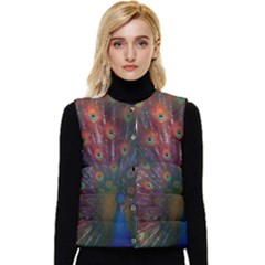 Red Peacock Feather Women s Short Button Up Puffer Vest by Cowasu