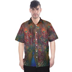 Red Peacock Feather Men s Hawaii Shirt