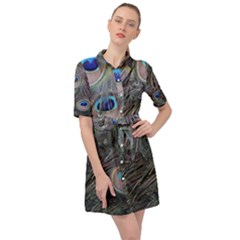 Peacock Feathers Peacock Bird Feathers Belted Shirt Dress by Ndabl3x