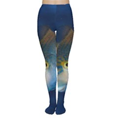 Fish Blue Animal Water Nature Tights by Amaryn4rt