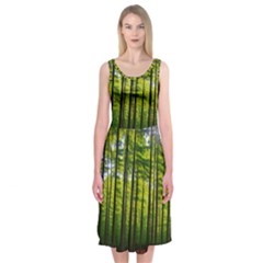 Green Forest Jungle Trees Nature Sunny Midi Sleeveless Dress by Ravend