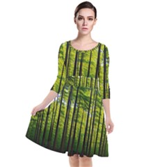 Green Forest Jungle Trees Nature Sunny Quarter Sleeve Waist Band Dress by Ravend