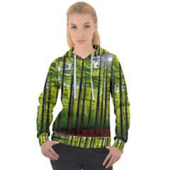 Green Forest Jungle Trees Nature Sunny Women s Overhead Hoodie by Ravend
