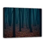Dark Forest Nature Canvas 16  x 12  (Stretched)