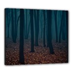 Dark Forest Nature Canvas 24  x 20  (Stretched)