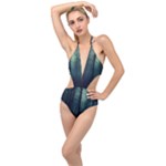 Dark Forest Plunging Cut Out Swimsuit