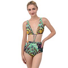 Monkey Tiger Bird Parrot Forest Jungle Style Tied Up Two Piece Swimsuit by Grandong