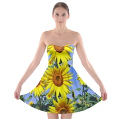 Sunflower Gift Strapless Bra Top Dress by artworkshop