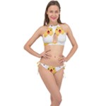Cute Chick Cross Front Halter Bikini Set