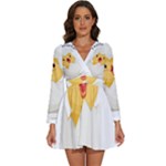 Cute Chick Long Sleeve V-Neck Chiffon Dress 