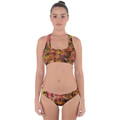 Red And Yellow Ivy  Cross Back Hipster Bikini Set by okhismakingart