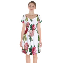 Roses-white Short Sleeve Bardot Dress by nateshop