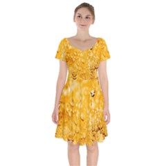 Water-gold Short Sleeve Bardot Dress by nateshop
