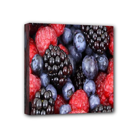 Berries-01 Mini Canvas 4  X 4  (stretched) by nateshop