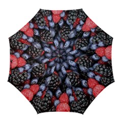 Berries-01 Golf Umbrellas by nateshop