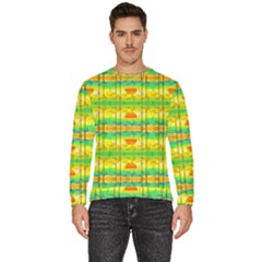 Birds-beach-sun-abstract-pattern Men s Fleece Sweatshirt