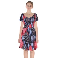 Berries-01 Short Sleeve Bardot Dress by nateshop