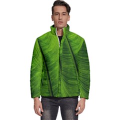 Green-leaf-plant-freshness-color Men s Puffer Bubble Jacket Coat by Bedest